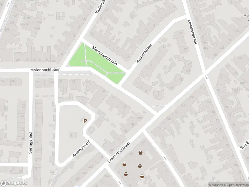 Overlastmelding Hyacintstraat in 5014EK Tilburg
