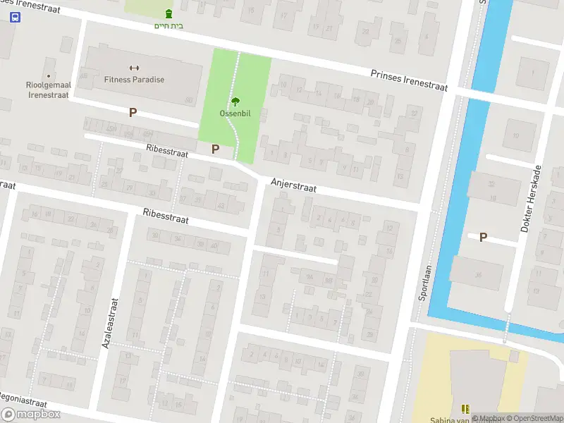 Overlastmelding Asterstraat in Oud-Beijerland