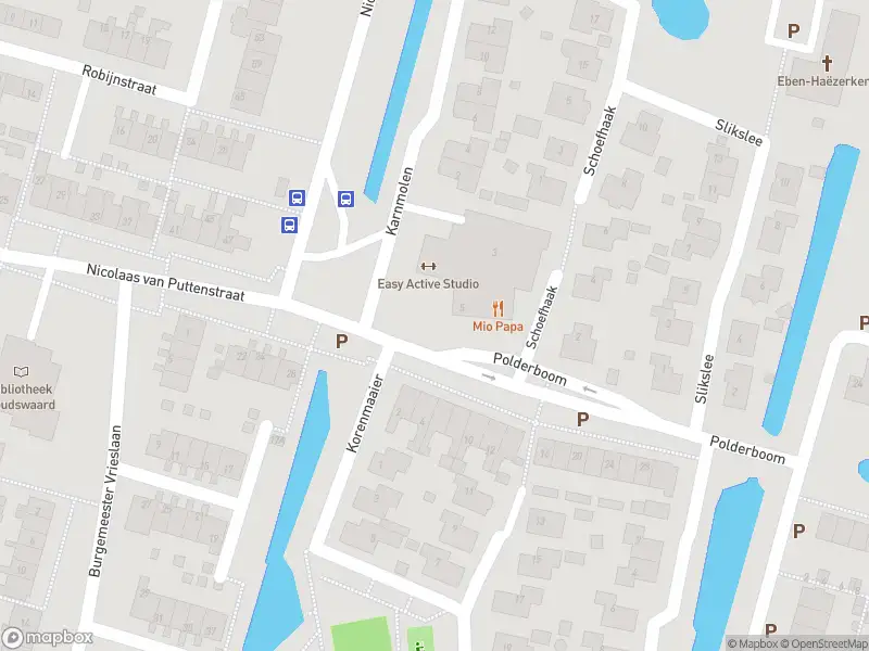 Overlastmelding Polderboom in Goudswaard