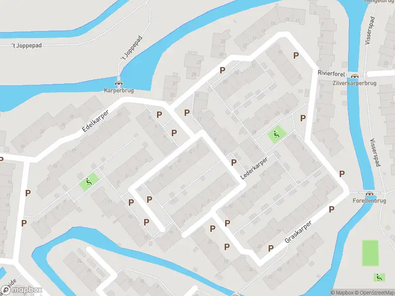 Ambulance met grote spoed naar de Kroeskarper in Leiden