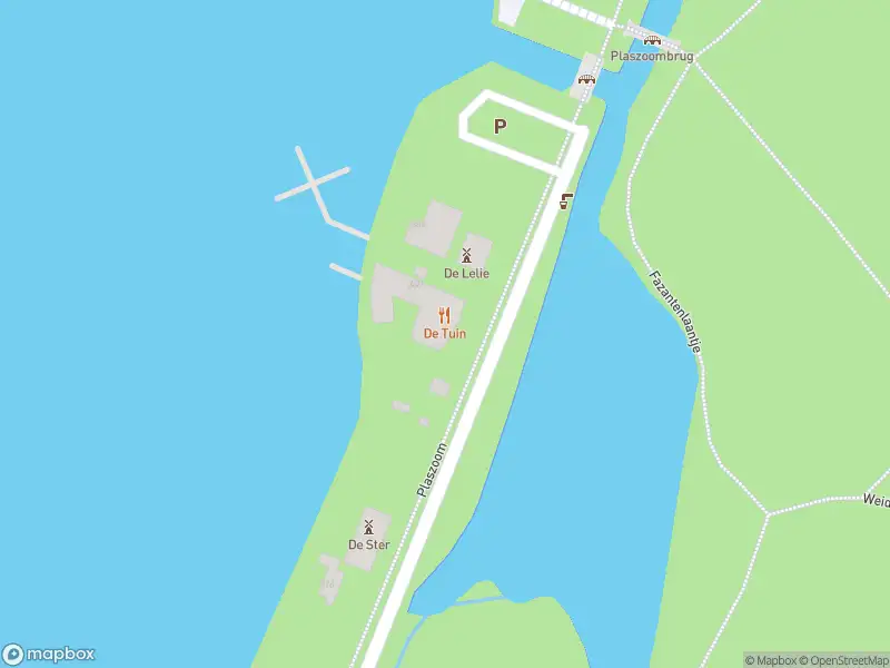 Ambulance met gepaste spoed naar de Plaszoom in Rotterdam