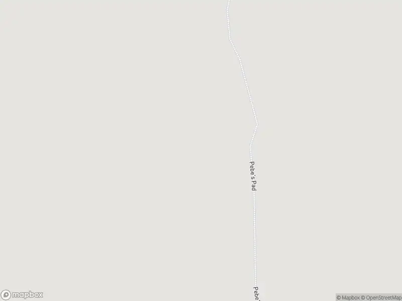 Ambulance met grote spoed naar de Peebos in Doezum