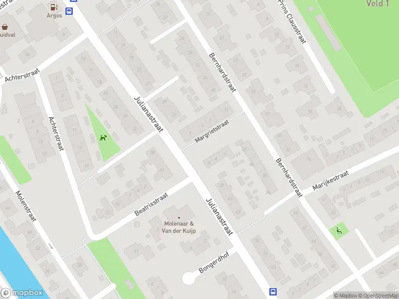 Ambulance met gepaste spoed naar de Margrietstraat in Strijen