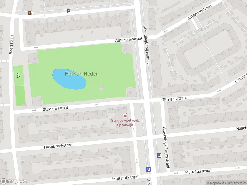 Brandweer met grote spoed naar de Alberdingk Thijmstraat in 's-Gravenhage vanwege afhijsen patient