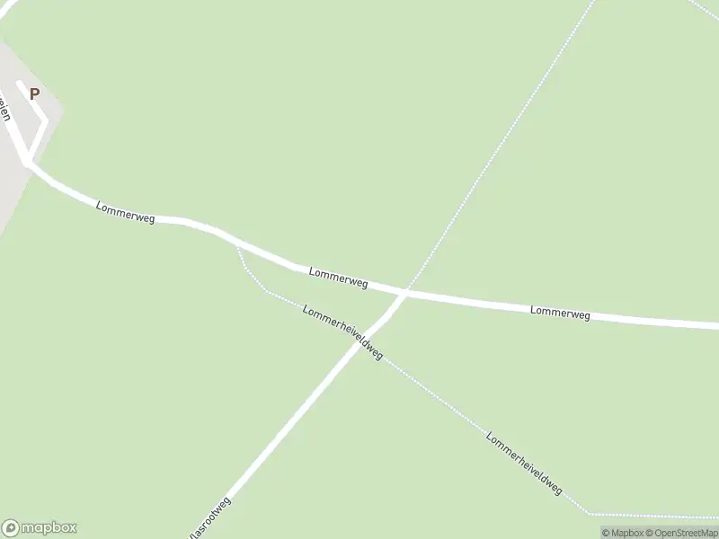 Brandweer met gepaste spoed naar de Hanikerweg in Lomm