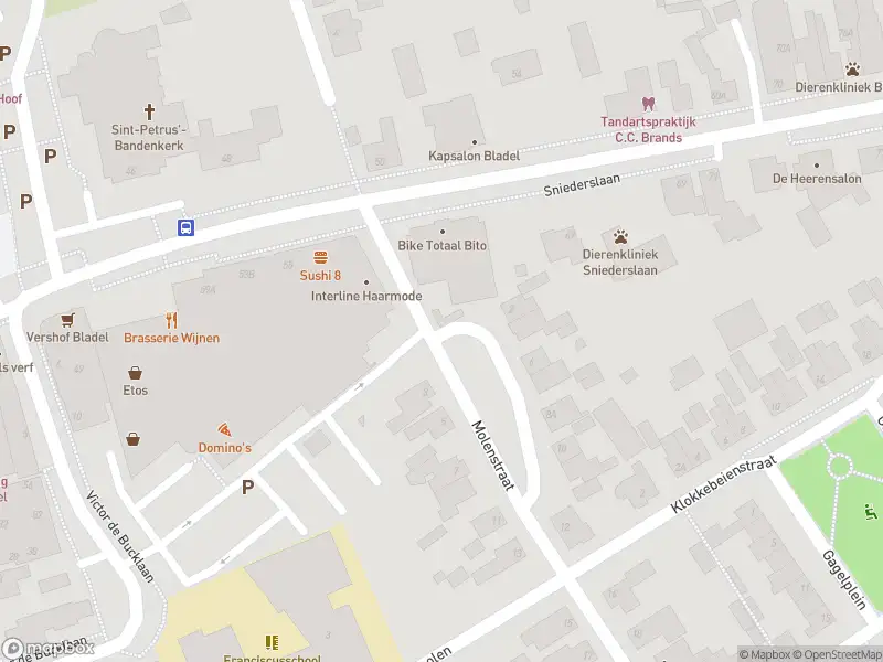 Brandweer met grote spoed naar de Sniederslaan in Bladel