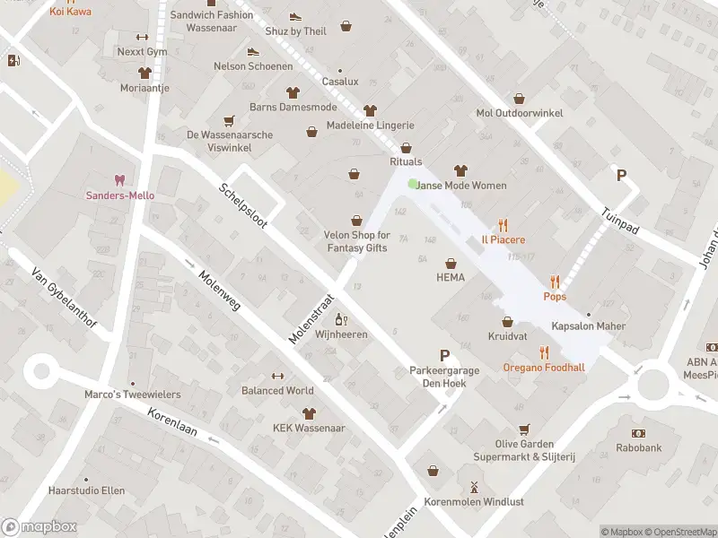 Ambulance met gepaste spoed naar de Molenstraat in Wassenaar