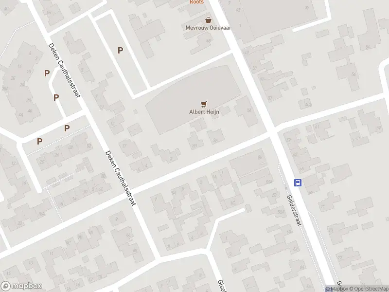 Overlastmelding Rogier van Leefdaelstraat in Hilvarenbeek