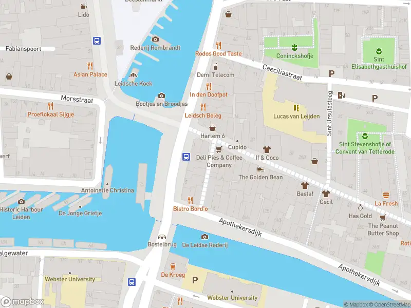Brandweer met gepaste spoed naar de Schapensteeg in Leiden