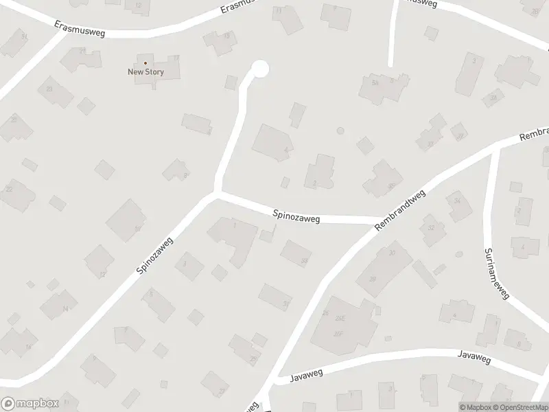 Ambulance met gepaste spoed naar de Spinozaweg in Noordwijk