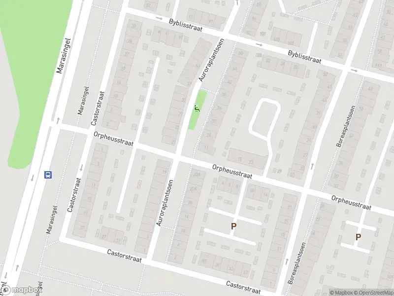 Overlastmelding Castorstraat in Arnhem (6846 XB) gesloten