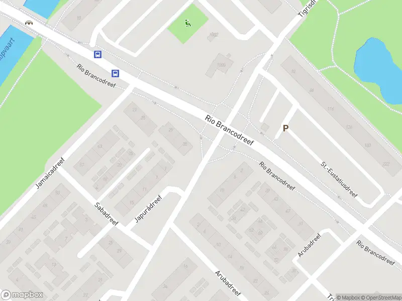 Politie naar de Rio Brancodreef in Utrecht vanwege aanrijding met letsel