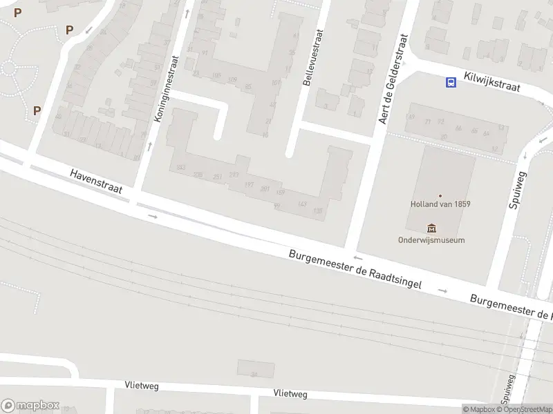 Overlastmelding Burgemeester de Raadtsingel in Dordrecht