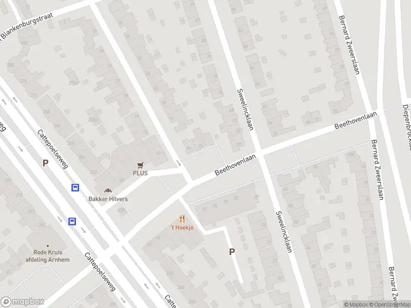 112 melding Overlastmelding Beethovenlaan in Arnhem