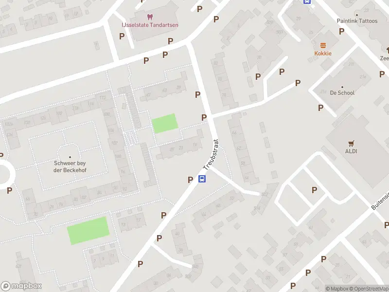 Overlastmelding Treubstraat in Dieren