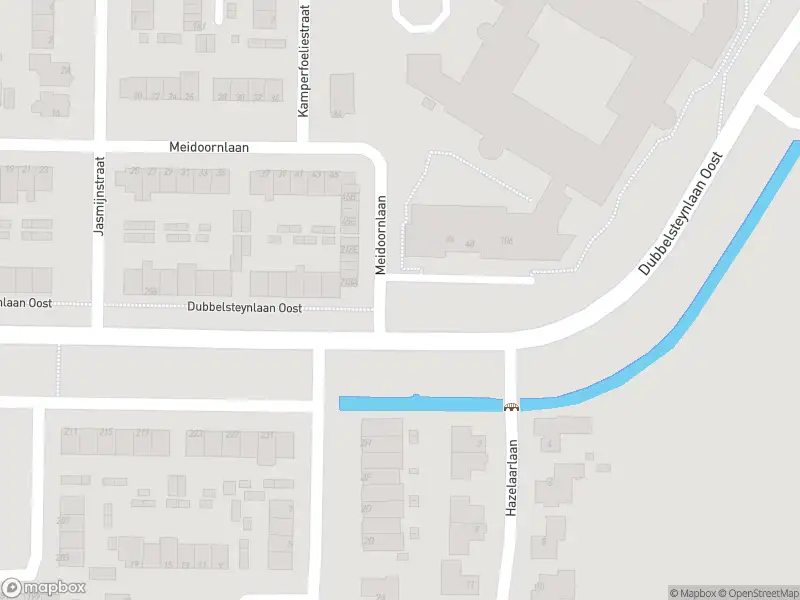 Overlastmelding Dubbelsteynlaan Oost in Dordrecht