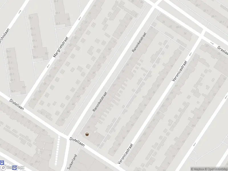 Overlastmelding Ranonkelstraat in Arnhem