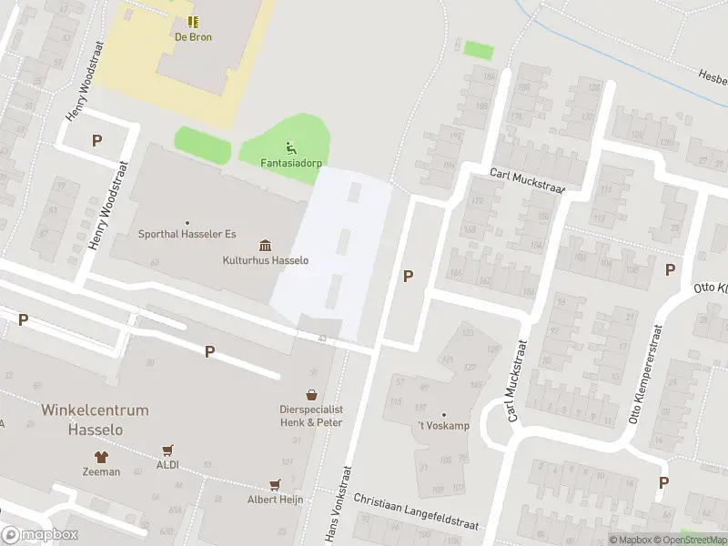 Politie naar de Henry Woodstraat in Hengelo vanwege aanrijding met letsel