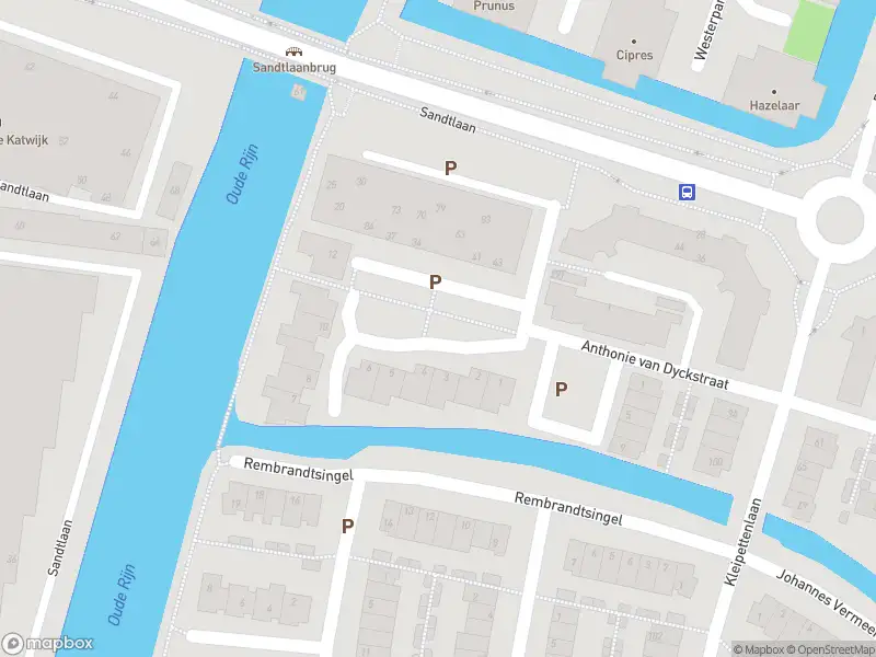 Overlastmelding Jan van Goyenplein in Rijnsburg