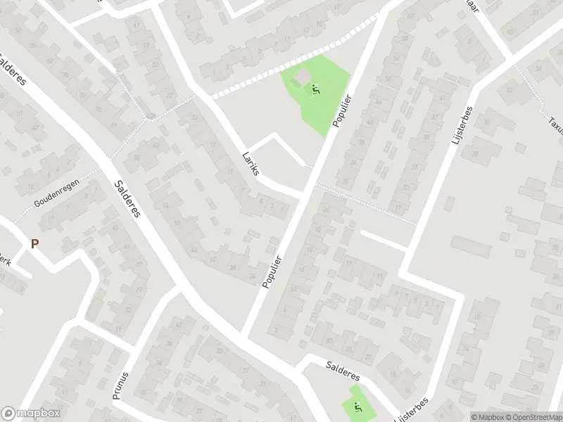 Overlastmelding Lariks in Best gesloten