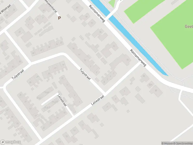 Overlastmelding Tulpstraat in 't Zand