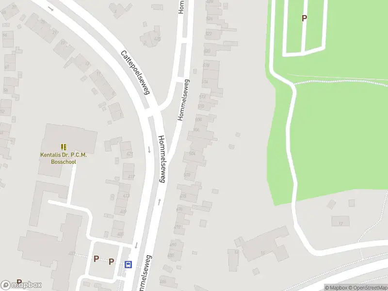 Overlastmelding Hommelseweg in Arnhem