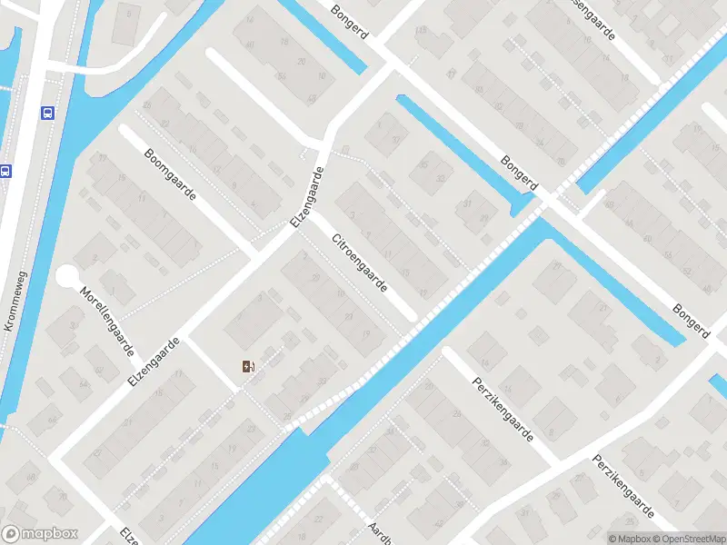 Overlastmelding Citroengaarde in Hendrik-Ido-Ambacht