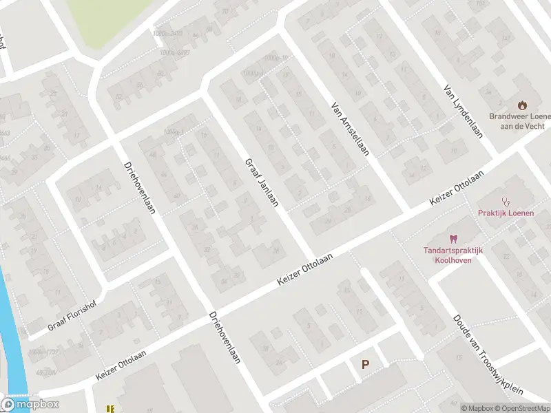 Overlastmelding Graaf Janlaan in Loenen aan de Vecht