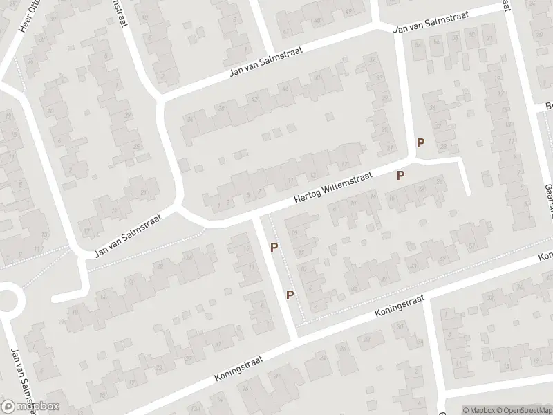 Overlastmelding Hertog Willemstraat in Born gesloten
