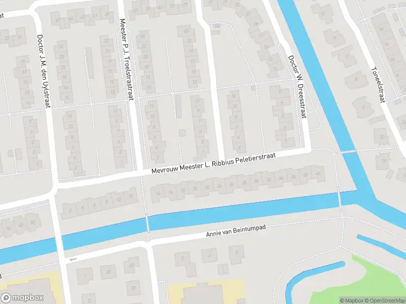 Overlastmelding Professor Meester P. Lieftinckstraat in Gorinchem