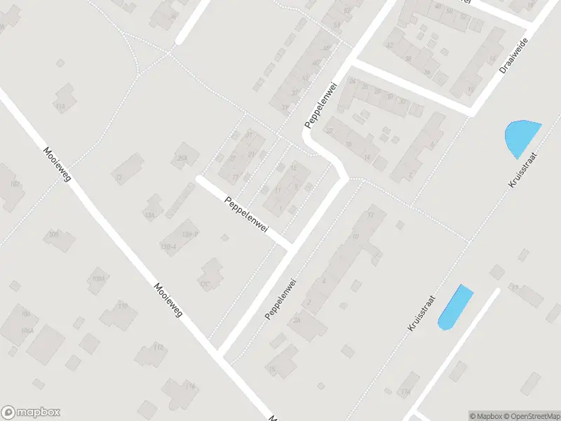 112 melding Overlastmelding Peppelenwei in Arnhem