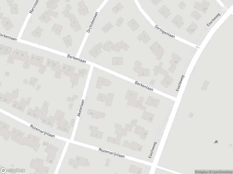 Overlastmelding Berkenlaan in Sint-Michielsgestel