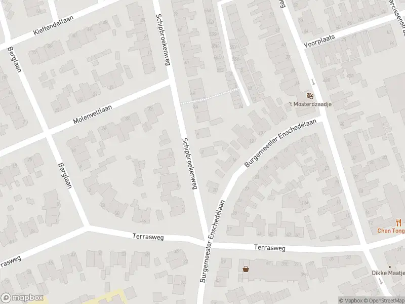 Overlastmelding Schipbroekenweg in Santpoort-Noord