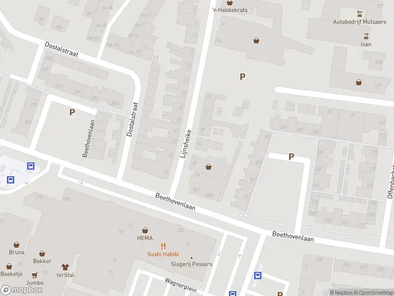 Overlastmelding  in Tilburg, Holandia