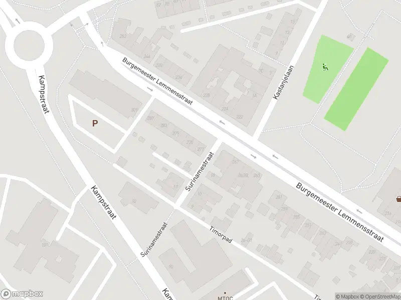 Overlastmelding Burgemeester Lemmensstraat in Geleen