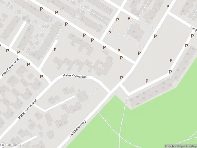Overlastmelding Marie Koenenlaan in Tilburg