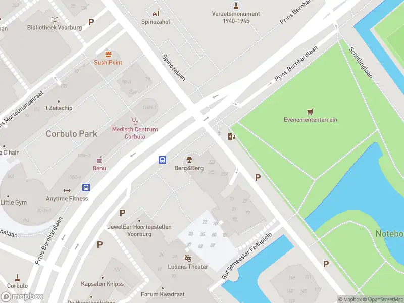 Ambulance met grote spoed naar de Sint Martinuslaan in Voorburg