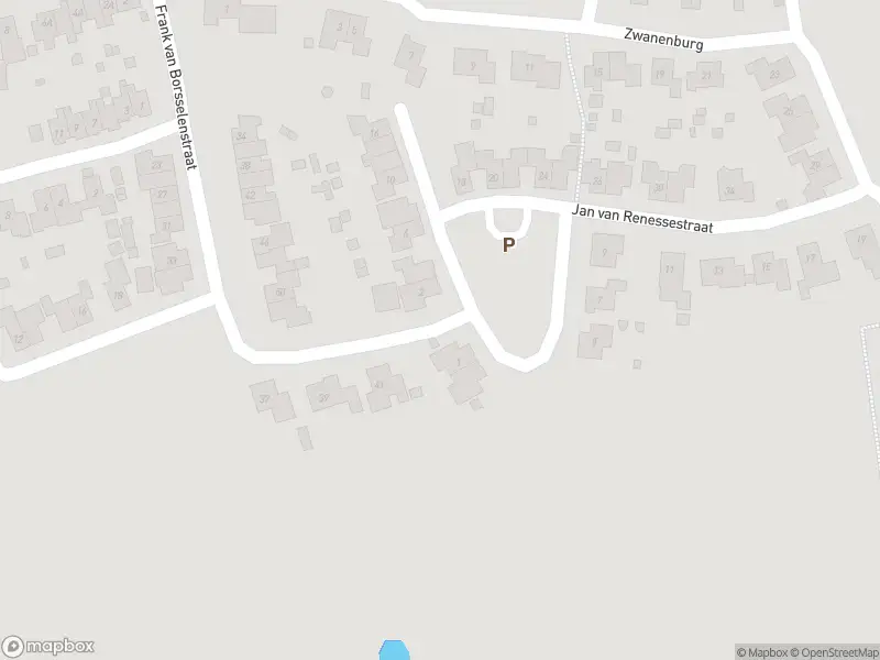 Overlastmelding Jan van Renessestraat in 's-Heer Hendrikskinderen