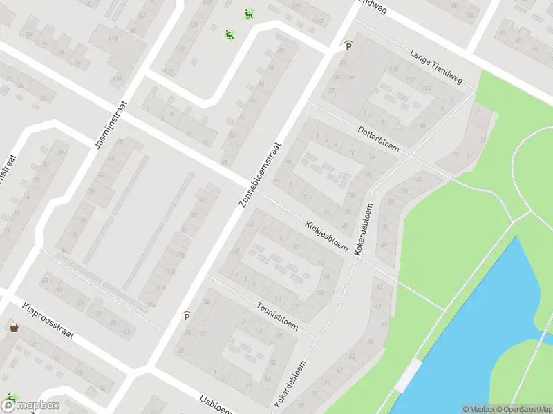 Ambulance met grote spoed naar de Klokjesbloem in Papendrecht