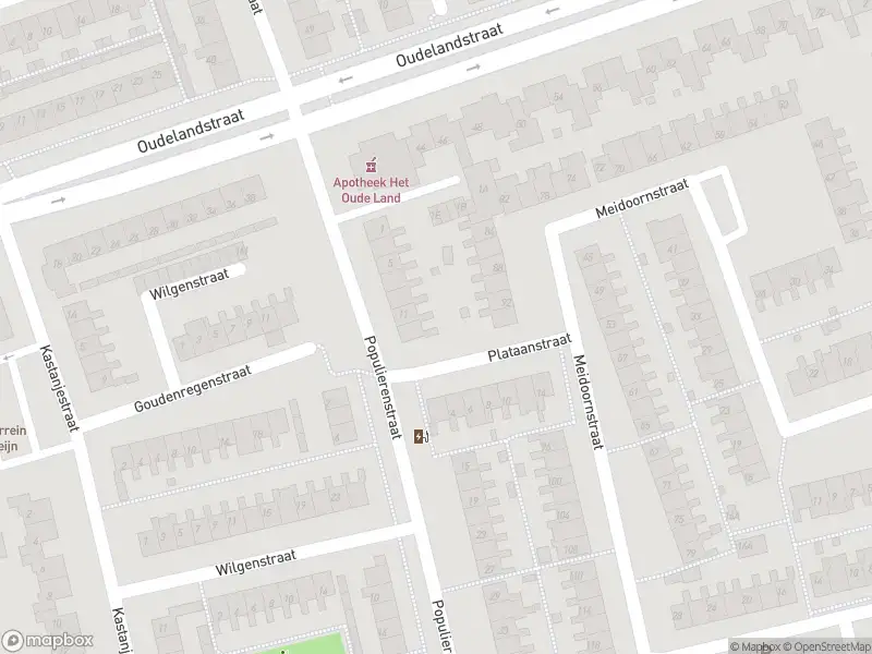 Brandweer met gepaste spoed naar de Graaf Florisplein in 's-Gravenzande vanwege stormschade