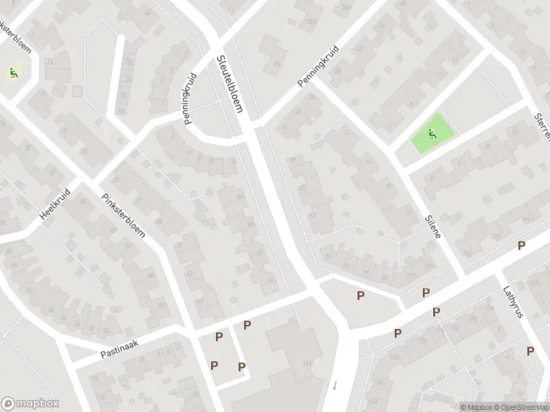 Brandweer en politie met grote spoed naar de Penningkruid in Venray vanwege waarnemen gaslucht