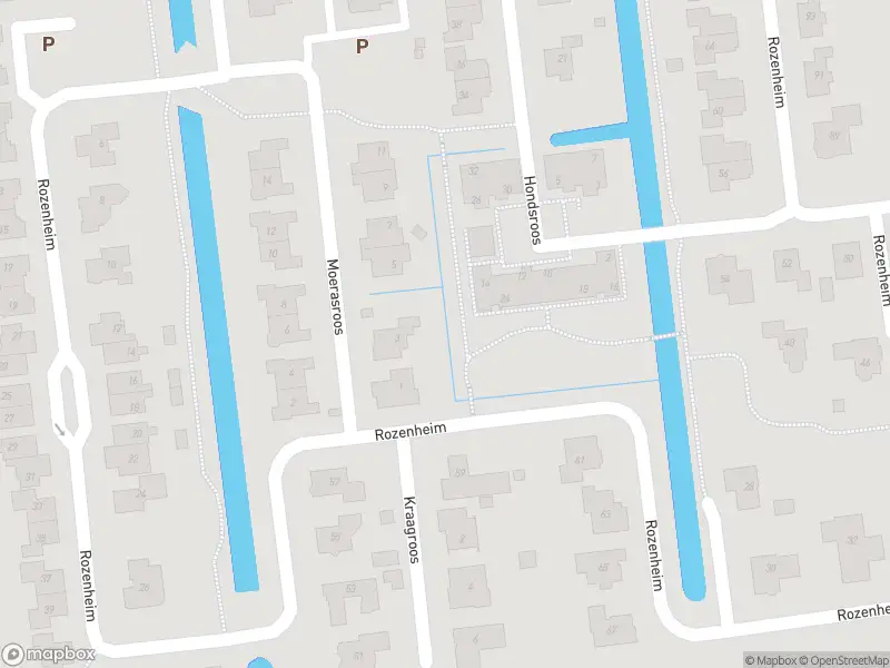 Brandweer met grote spoed naar de De Tjalk in Dedemsvaart vanwege waarnemen gaslucht