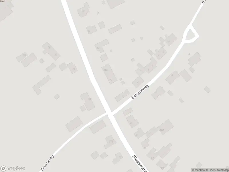 Overlastmelding Biestsestraat in Biest-Houtakker