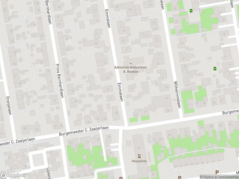 Overlastmelding Emmalaan in Dirksland