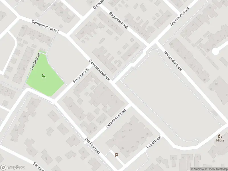 Overlastmelding Campanulastraat in Sint-Michielsgestel