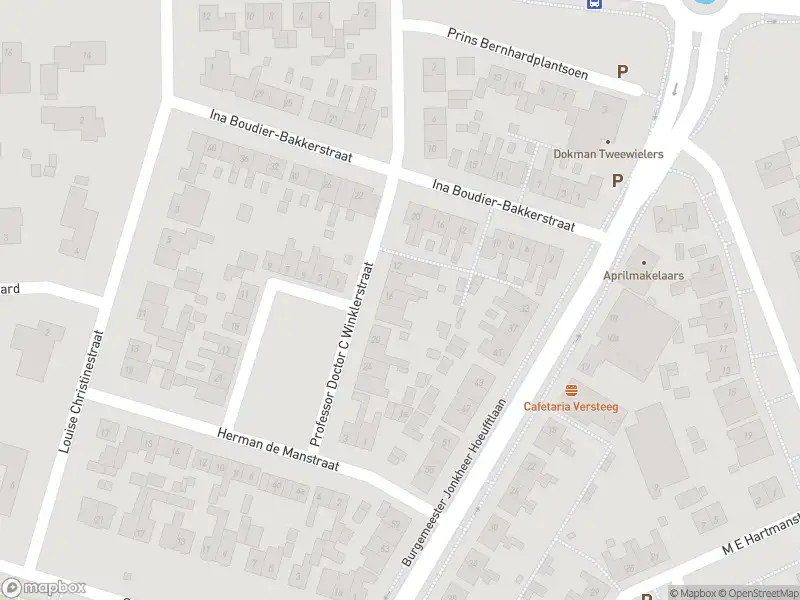 Politie naar de Buitenlandpoort in Vianen vanwege aanrijding met letsel