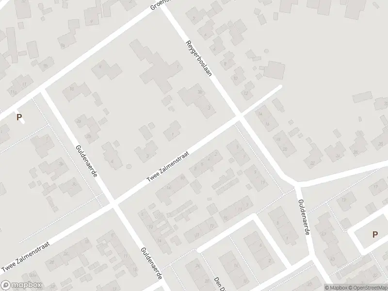 Overlastmelding Twee Zalmenstraat in Giessen