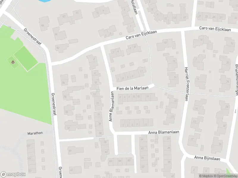 Overlastmelding Fien de la Marlaan in Elst gesloten