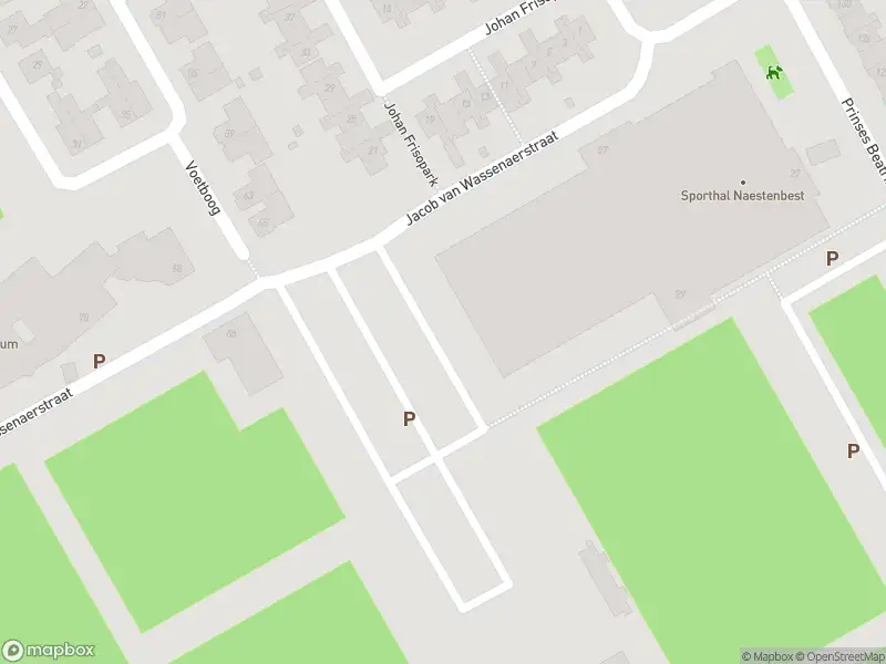 Overlastmelding Jacob van Wassenaerstraat in Best