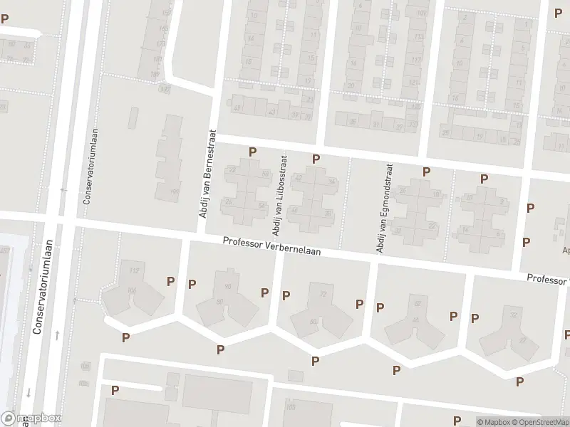 Overlastmelding Professor Verbernelaan in Tilburg